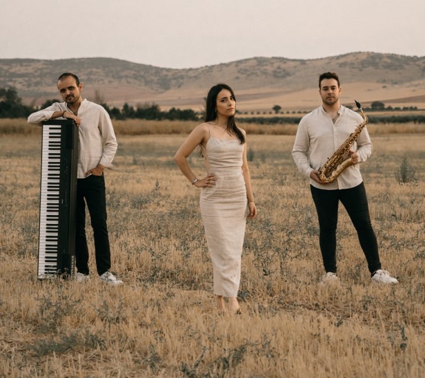 Música para cócteles